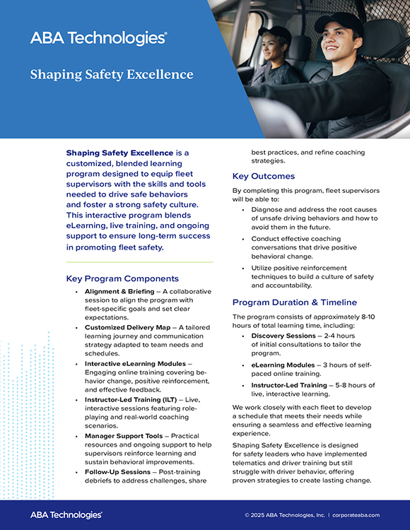 Shaping Safety Excellence