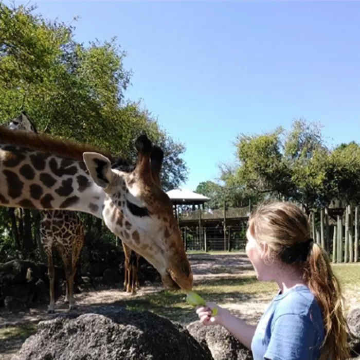 Cassie Vergason McKeel with a deer