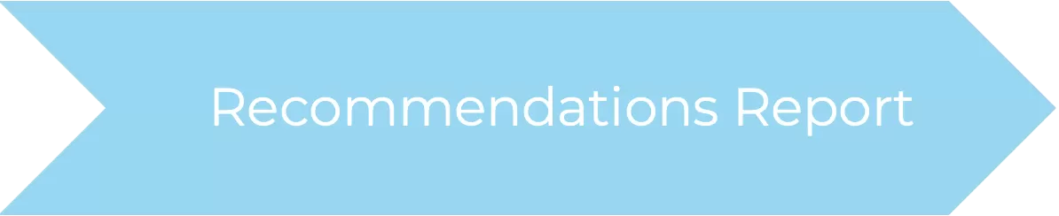 Recommendations Report