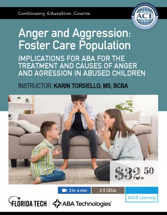 Anger and aggression: Foster care population