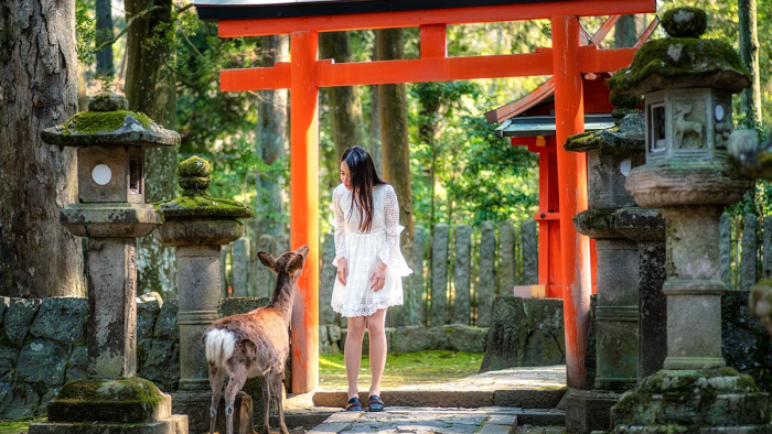 Girl with deer at temple
