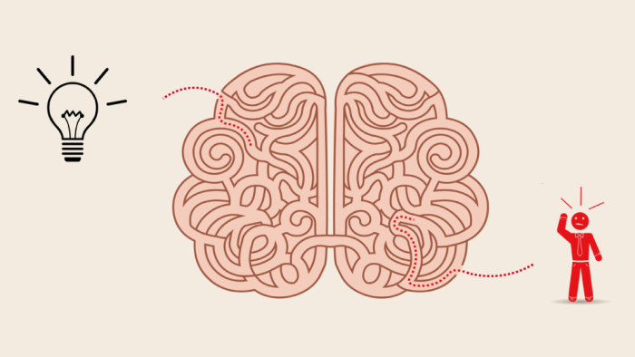 An illustration of a brain that looks like a maze. On one side a light bulb is flashing and on the other is a confused man about to enter the maze.