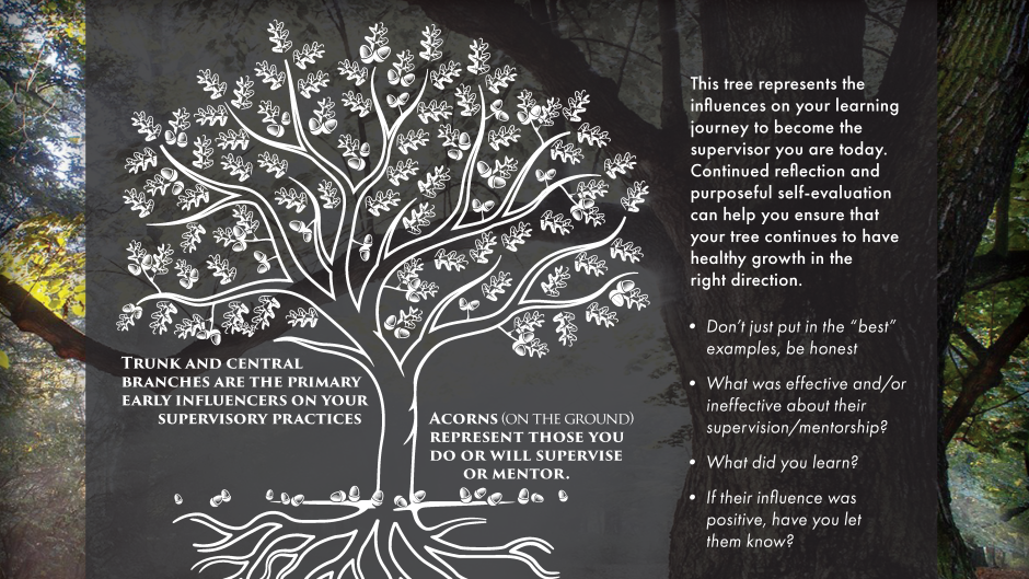 Building and Sustaining Relationships Supervisor Mentor chapter 3 part 3/3 infographic 