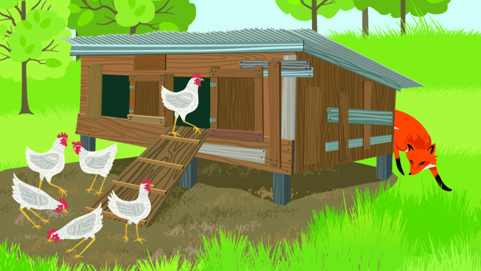 Invasive Fox in Henhouse