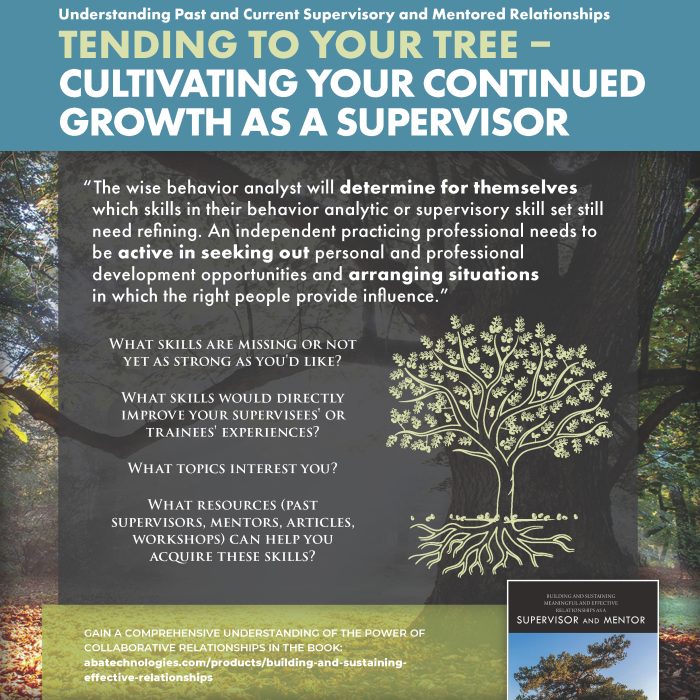 Building and Sustaining Meaningful and Effective Relationships as a Supervisor and Mentor chapter 3 part 3/3 infographic