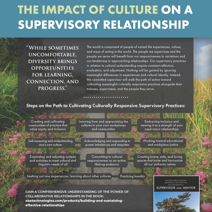 Building and Sustaining Meaningful and Effective relationships as a supervisor and mentor chapter 4 part 1 infographic