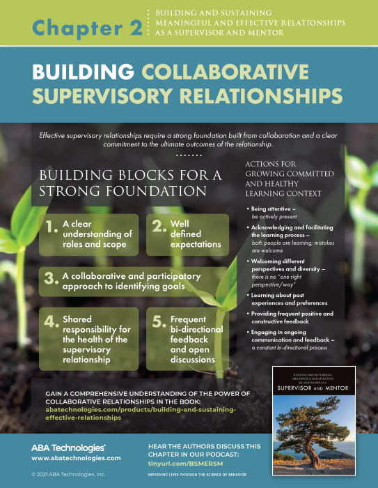 Building and Sustaining Relationships Supervisor Mentor_ch2 infographic