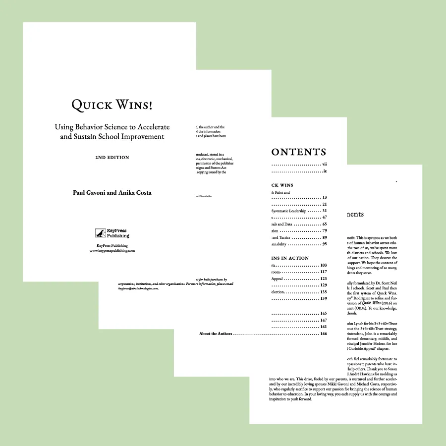 Sample pages of Quick Wins