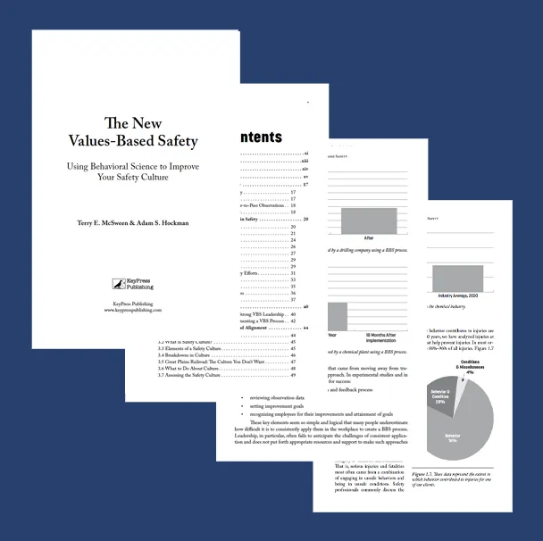 The New Values Based Safety Chapter Resource