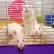 3 rats in a cage